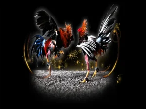 Hướng Dẫn Chơi Đá Gà Sabong Tại HB88 Trăm Trận Trăm Thắng