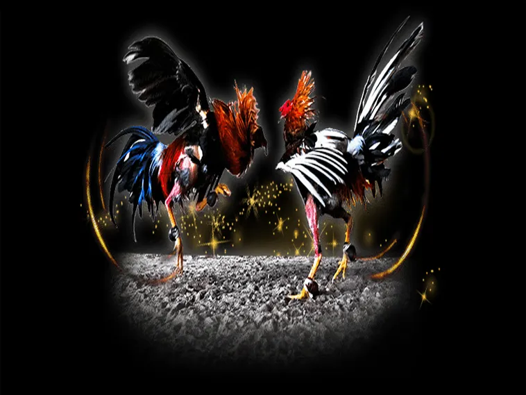 Hướng Dẫn Chơi Đá Gà Sabong Tại HB88 Trăm Trận Trăm Thắng 1 Hướng Dẫn Chơi Đá Gà Sabong Tại HB88 Trăm Trận Trăm Thắng