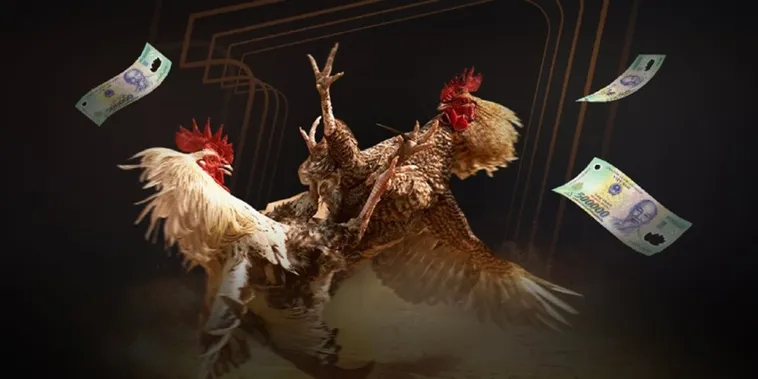 Trải Nghiệm Đá Gà HB88 Sống Động Như Thật